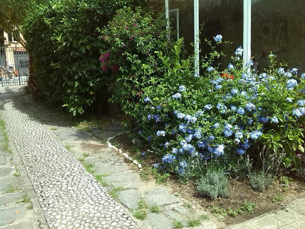 Il Nido Sul Mare A Forte Dei Marmi Phòng bức ảnh
